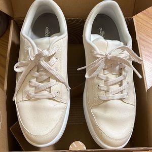 All birds plant paced